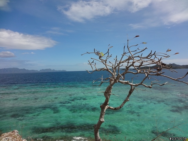 2012 菲律賓 科隆 Philippines Coron