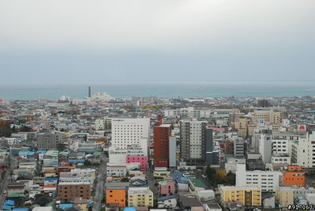 [冬の北海道自助行]-(函館)五稜郭-大沼小沼國定公園