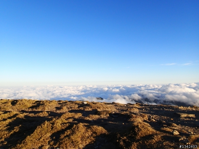 春節三叉山,向陽山,嘉明湖( 簡單分享還是很多圖)