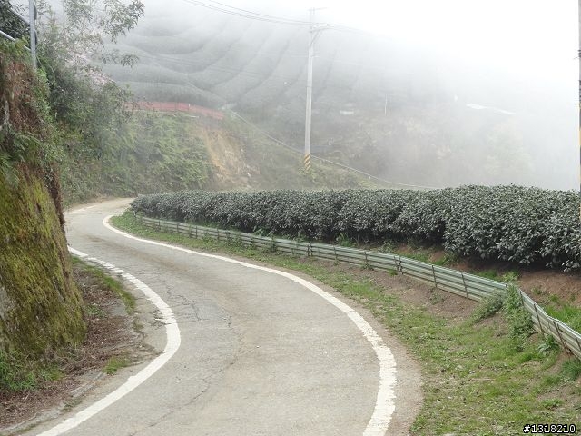 親子旅遊-竹山鹿谷體驗行
