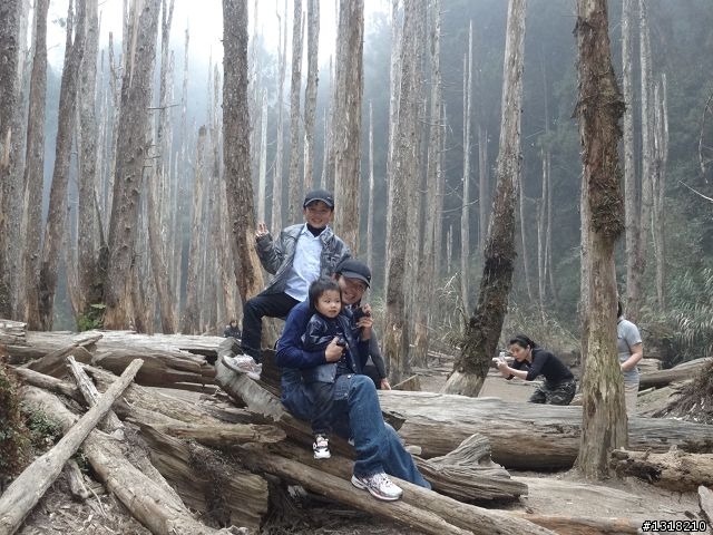 親子旅遊-竹山鹿谷體驗行