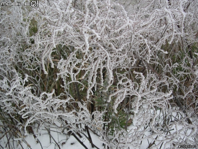 衝武嶺去花蓮玩順便參加物理年會2013/1/29~31