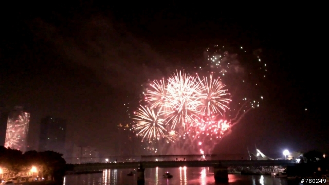 蝴蝶 拍攝2013高雄燈會煙火