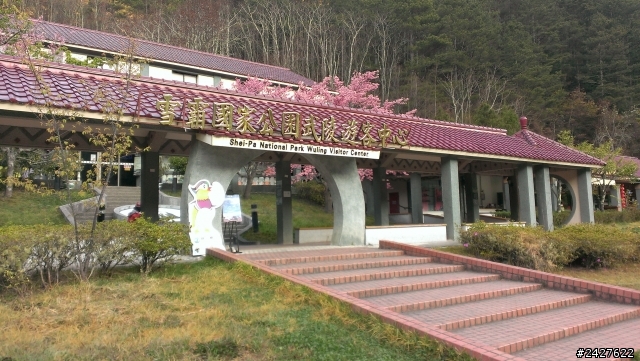 2/22 武陵櫻花canon 壞了就蝴蝶上場吧