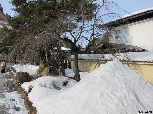 はとバス之旅：飛騨高山/白川郷/五箇山/能生