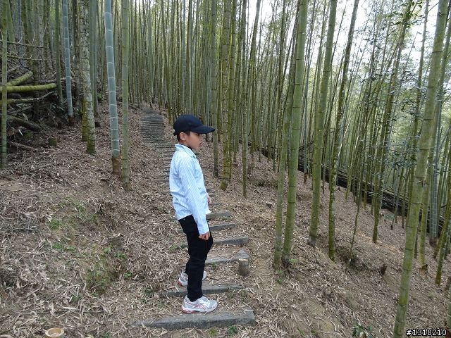 親子旅遊-竹山鹿谷體驗行