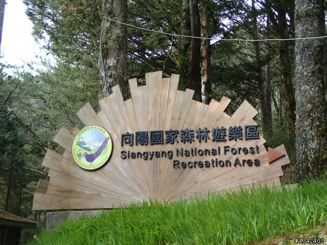 春節三叉山,向陽山,嘉明湖( 簡單分享還是很多圖)