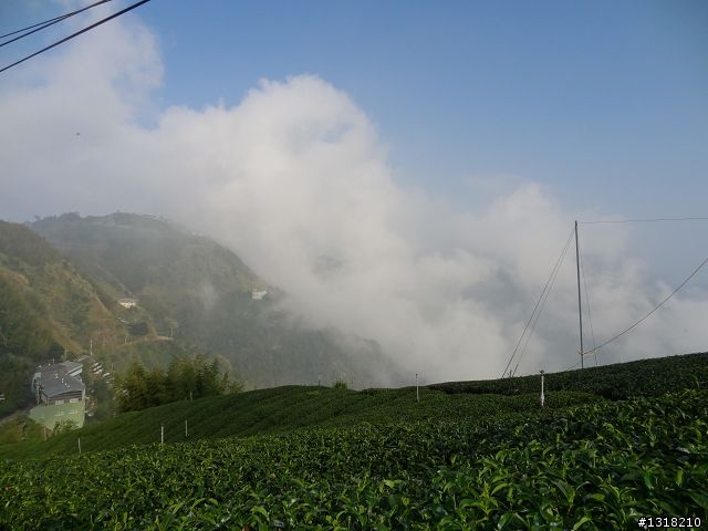 親子旅遊-竹山鹿谷體驗行