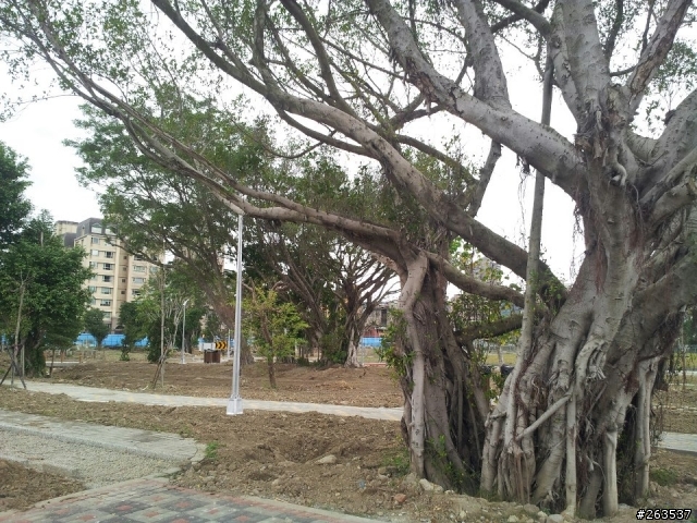 台北市北投區奇岩新社區近照