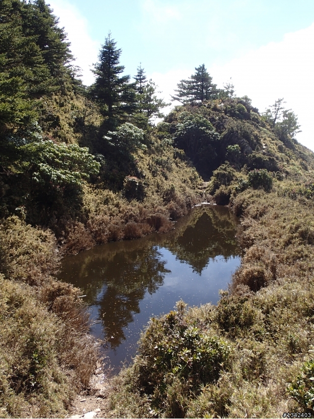春節三叉山,向陽山,嘉明湖( 簡單分享還是很多圖)