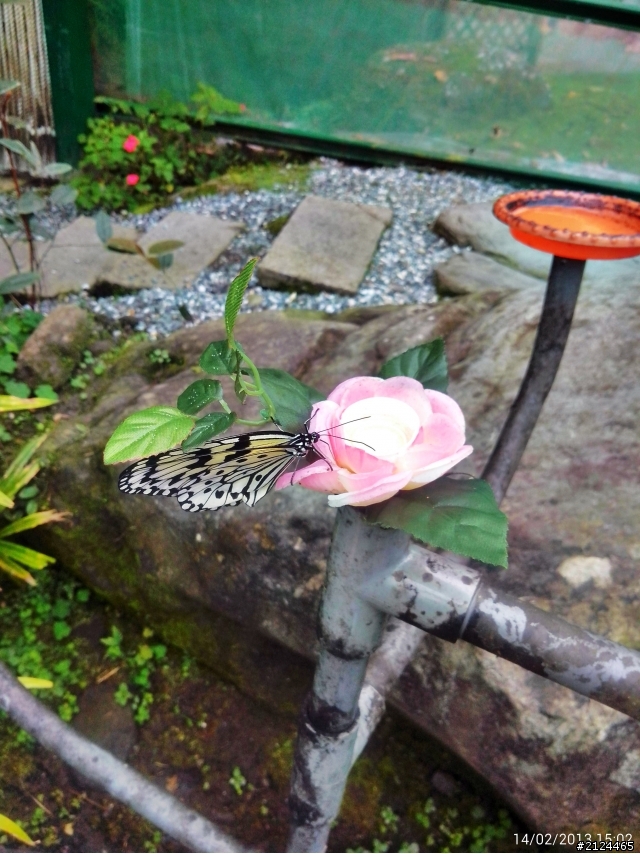 THL W7 用360相機拍風景照超美的~~~