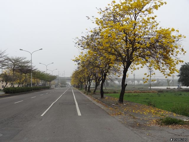 親子旅遊-烏日漫遊