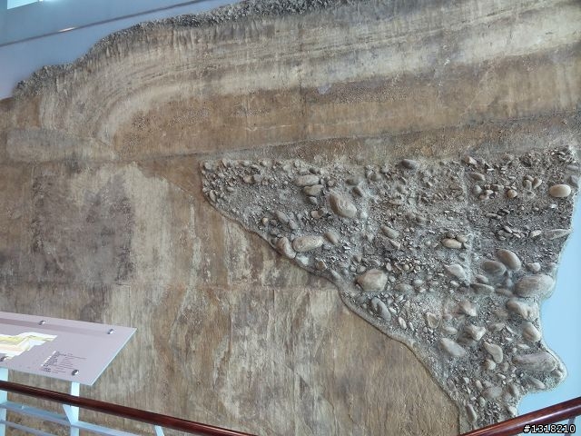 親子旅遊-竹山鹿谷體驗行