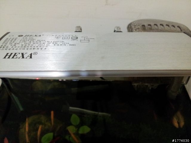 麻煩請養魚達人健檢小弟的小魚缸