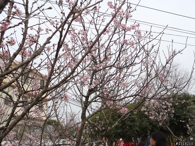 親子旅遊-烏日漫遊