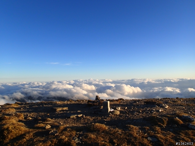 春節三叉山,向陽山,嘉明湖( 簡單分享還是很多圖)