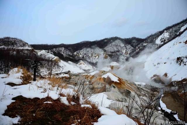 春節~北海道之旅（圖多）