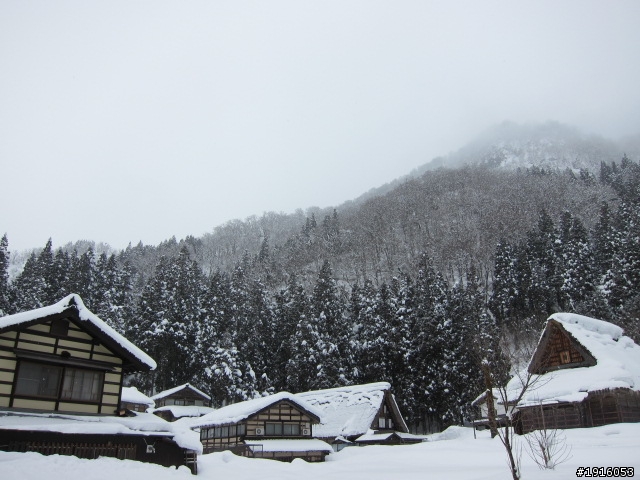 はとバス之旅：飛騨高山/白川郷/五箇山/能生
