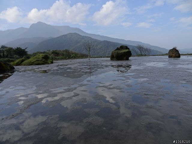 親子旅遊-新春台北自由行(5)-櫻花百拉卡