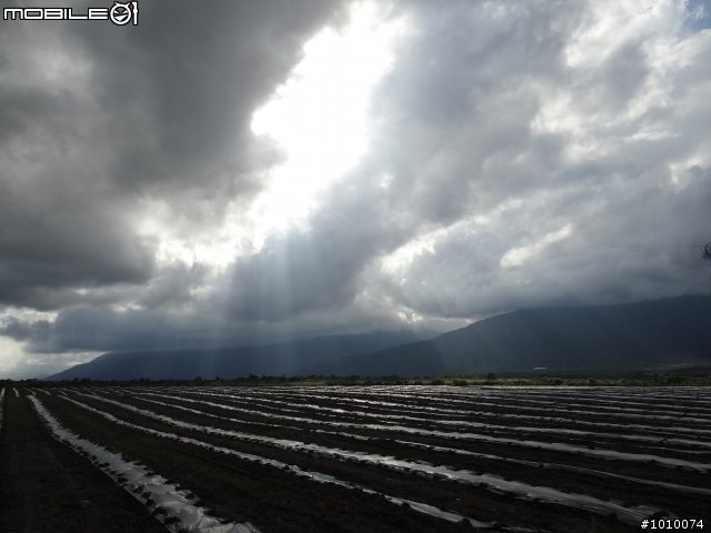 推薦 花蓮光復鄉「大農大富平地森林園區」
