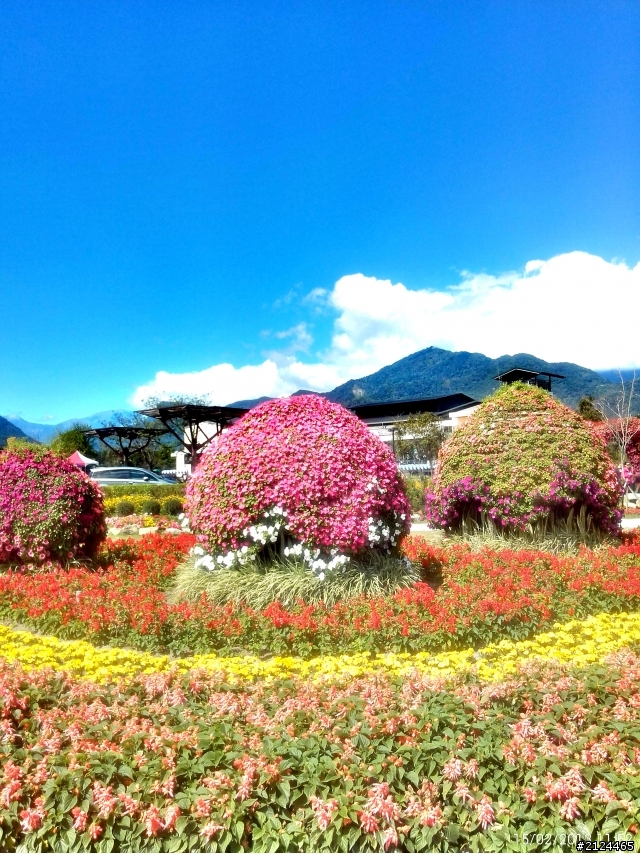 THL W7 用360相機拍風景照超美的~~~