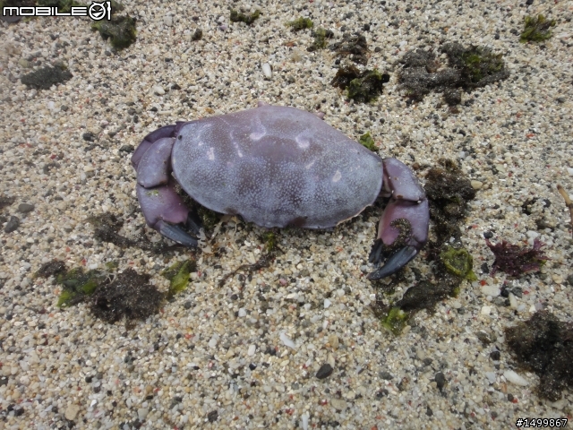 歷經一年的時間....我的2012環島文【 一人半的環島旅行】終於完結篇啦!!!
