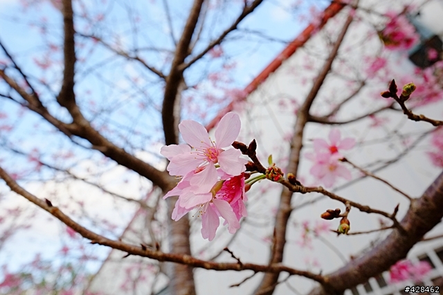 XE-1 + XF14/2.8