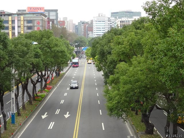 親子旅遊-新春台北自由行(4)-育樂花博松機行