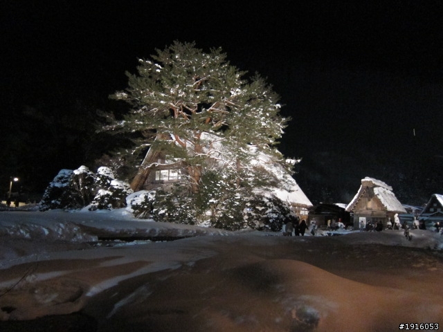 はとバス之旅：飛騨高山/白川郷/五箇山/能生