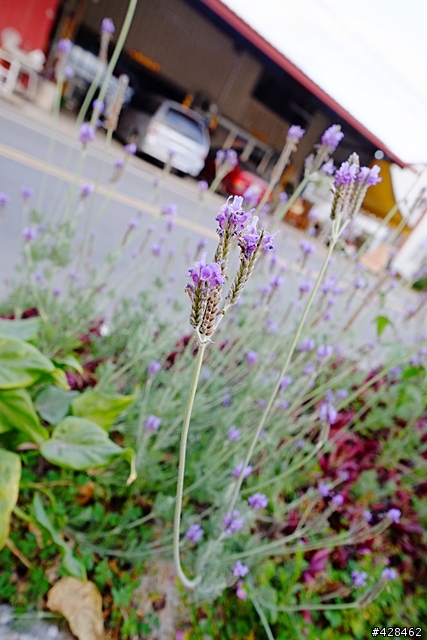 XE-1 + XF14/2.8