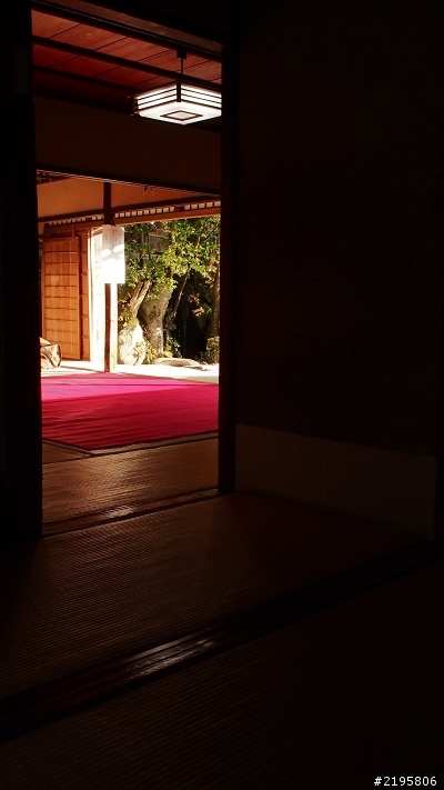 京の冬の旅(E-M5  M.ZD 17mm F1.8 + M.ZD ED 75mm F1.8)