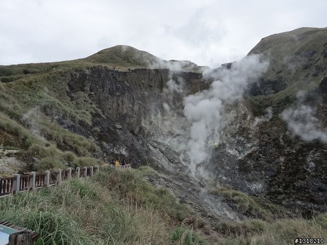 親子旅遊-新春台北自由行(5)-櫻花百拉卡