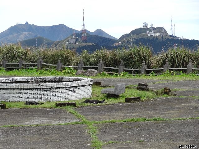 親子旅遊-新春台北自由行(5)-櫻花百拉卡