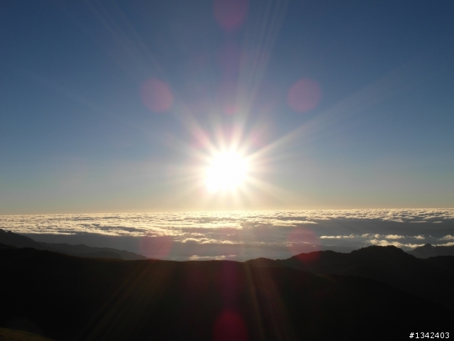 春節三叉山,向陽山,嘉明湖( 簡單分享還是很多圖)