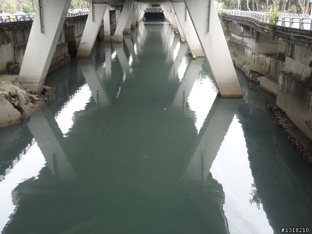 親子旅遊-新春台北自由行(4)-育樂花博松機行