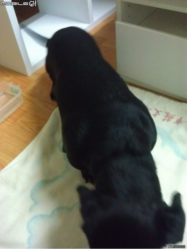 大家早安午安晚安~有意願者內洽，無者請協助轉發!!