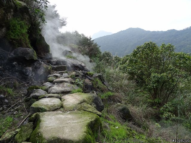 親子旅遊-新春台北自由行(5)-櫻花百拉卡