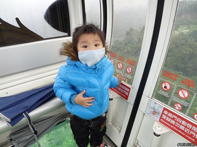 親子旅遊-新春台北自由行(2)-貓空杏花材