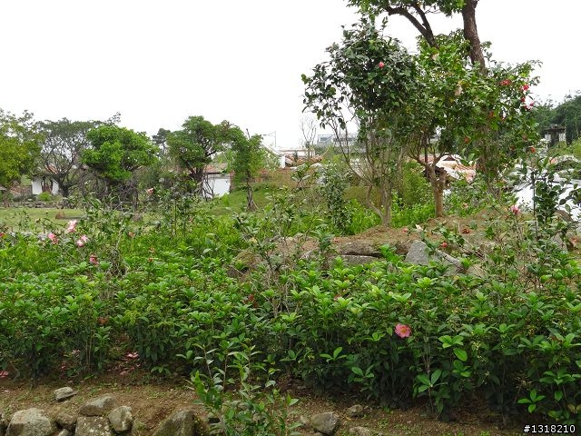 親子旅遊-新春台北自由行(4)-育樂花博松機行