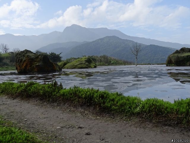 親子旅遊-新春台北自由行(5)-櫻花百拉卡