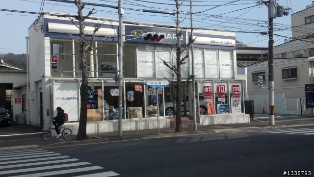 京都行偶遇森林人