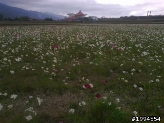 花東趴趴走最前線抱抱(台東篇)6天5夜