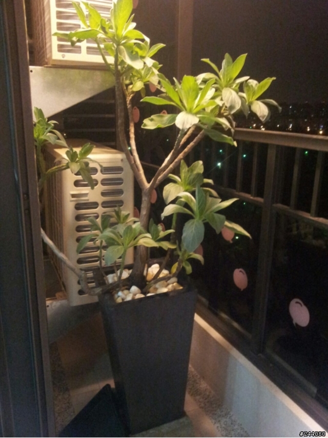 分享新居落成~溫馨小窩~