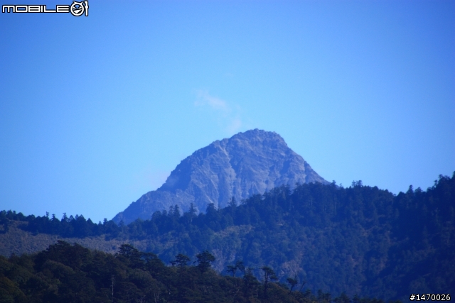 瘋狂舉指! 狂樂遊 NO3  武陵農場拜訪春天