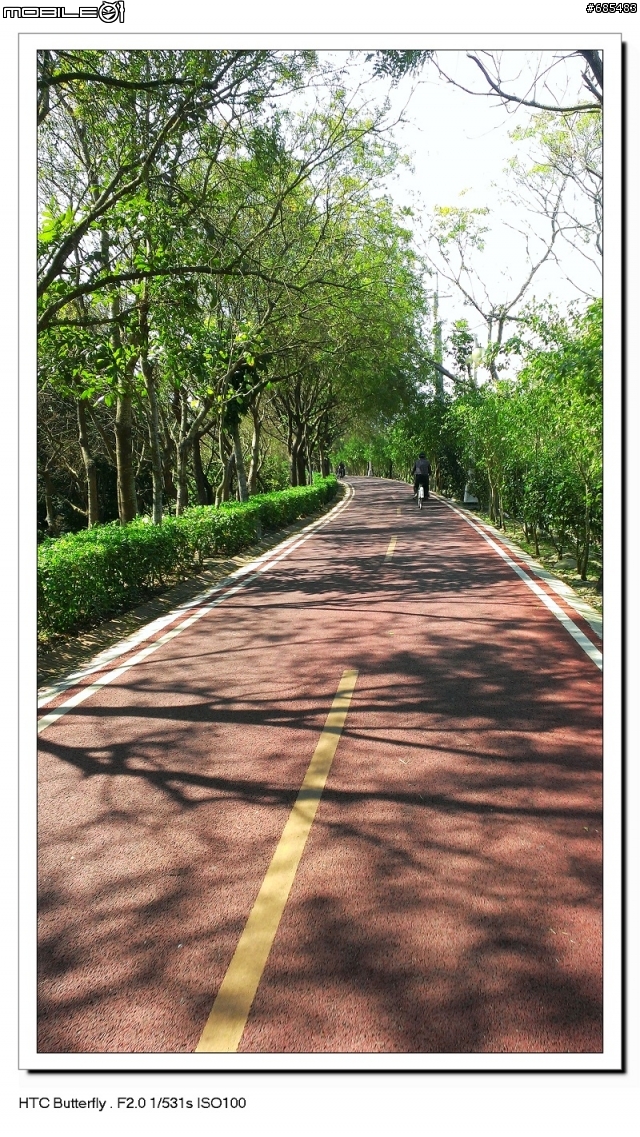 黑蝴蝶春節旅遊試拍(有圖)