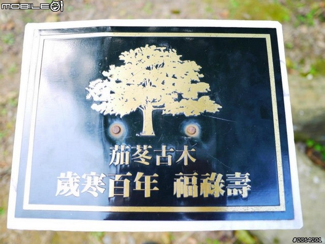 鬱見好心情~2013/1/28桃源仙谷鬱金香花況