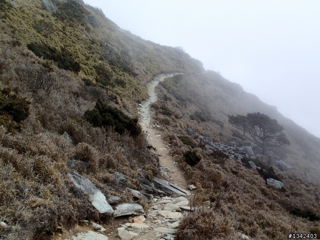 春節三叉山,向陽山,嘉明湖( 簡單分享還是很多圖)