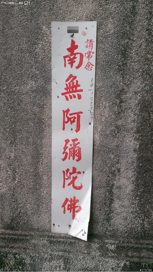 蝴蝶拍獅頭山櫻花 和新竹玻璃公園櫻花