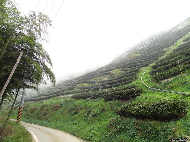 親子旅遊-竹山鹿谷體驗行