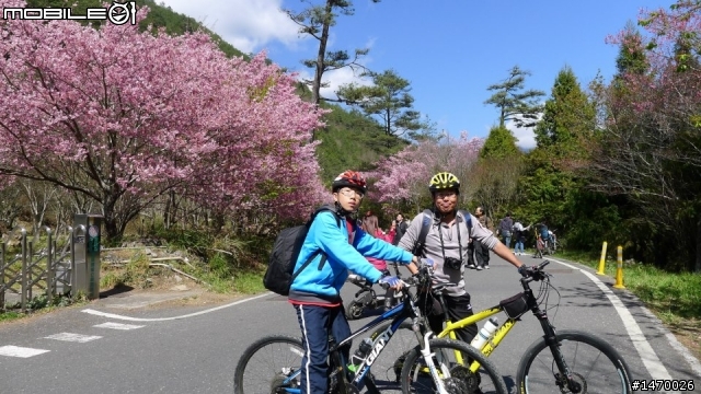 瘋狂舉指! 狂樂遊 NO3  武陵農場拜訪春天